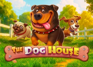 The Dog House Bonus Rehberi — 2026 alfabahis